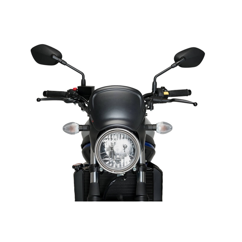 Plexi na motorku PUIG FRONTAL PLATE karbónový vzhľad
