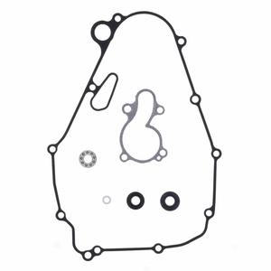 Tesnenie vodnej pumpy-sada ATHENA P400250475016 s ložiskami