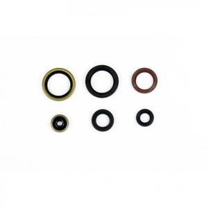 Sada gufier mototra ATHENA P400270400077