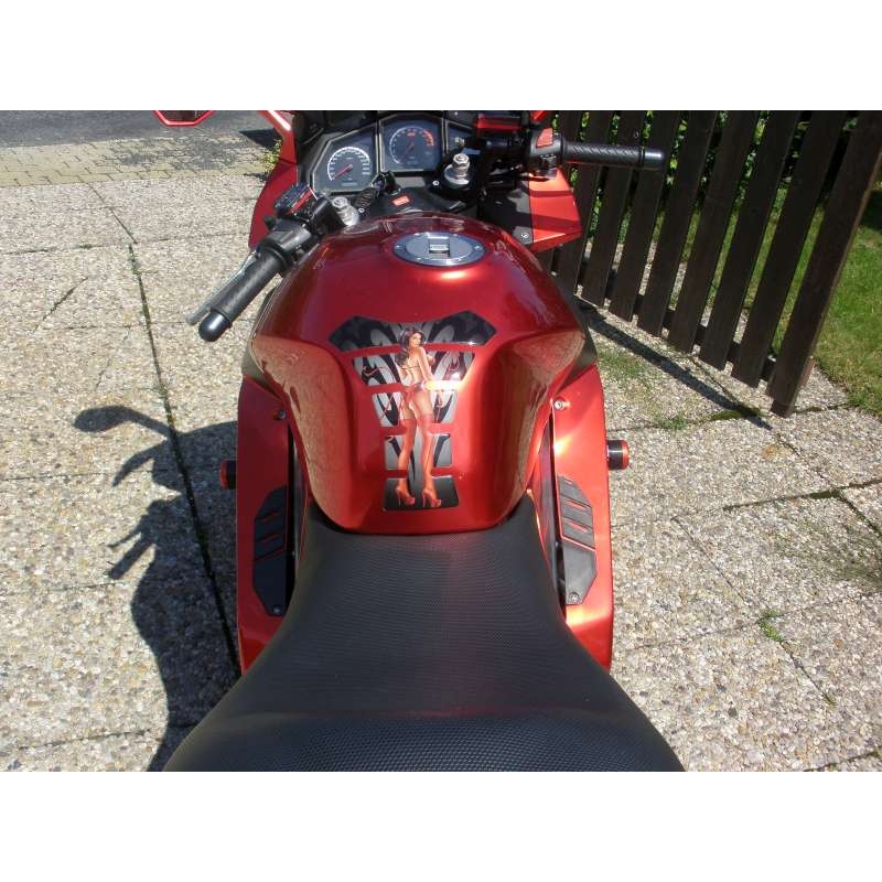 Protektory do prednej osi - APRILIA RST 1000 FUTURA Classic(PO)