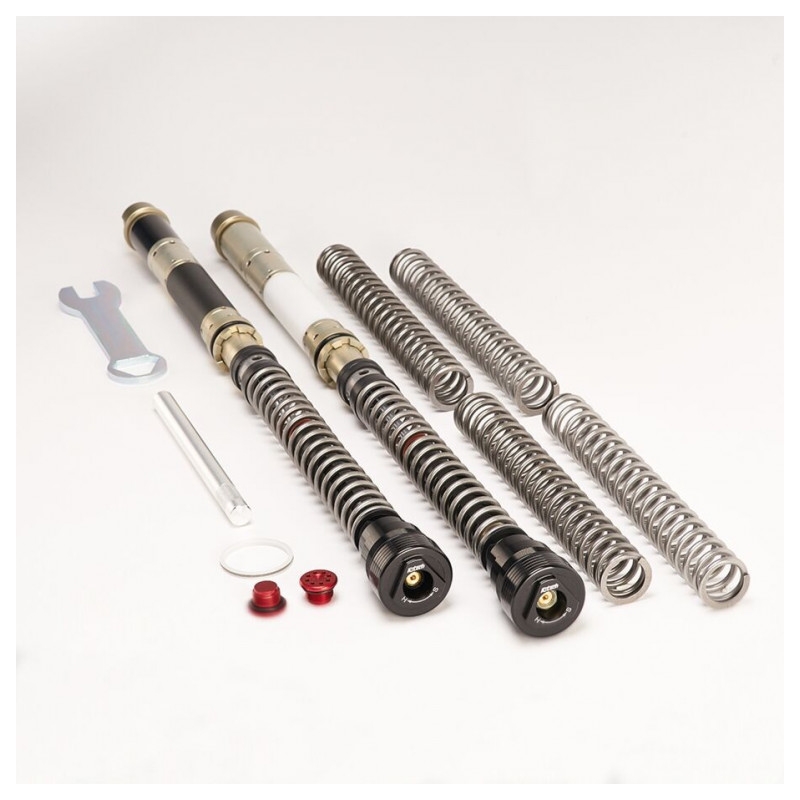 Cartridge prednej vidlice K-TECH DDS