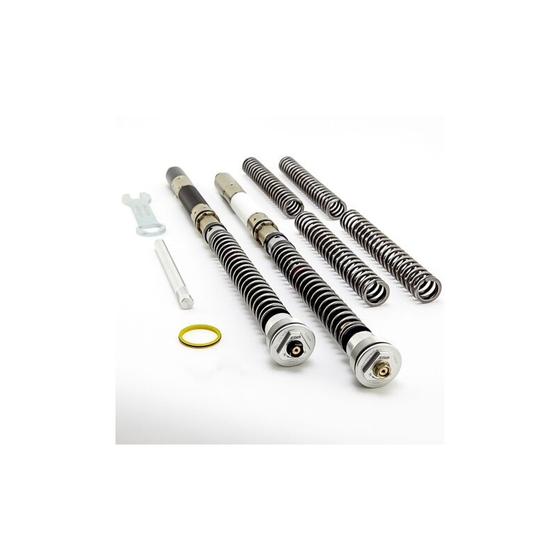 Cartridge prednej vidlice K-TECH DDS