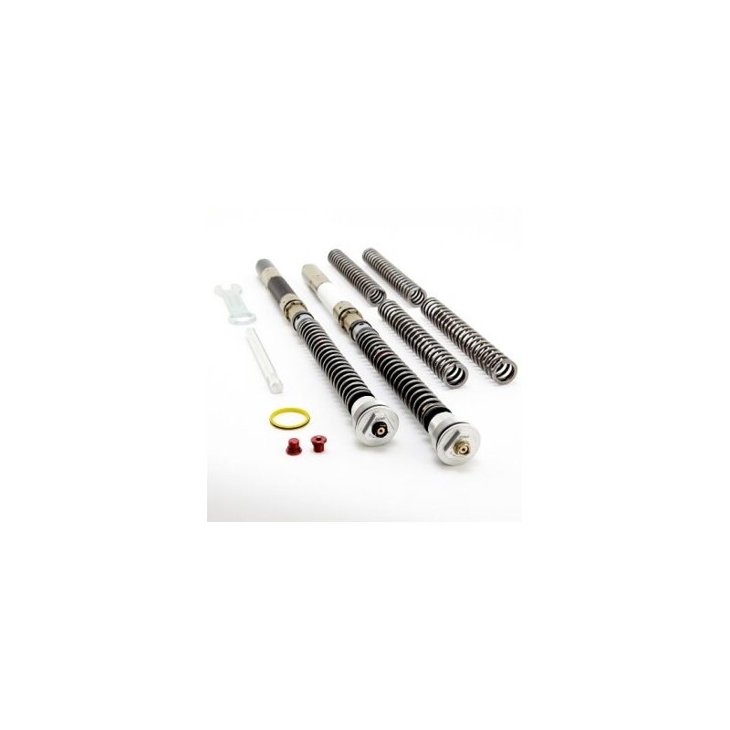 Cartridge prednej vidlice K-TECH DDS