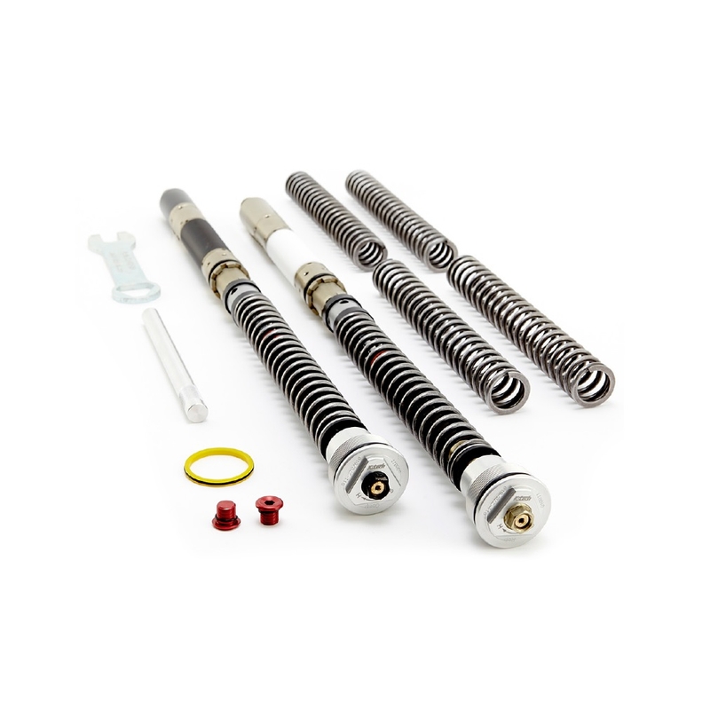 Cartridge prednej vidlice K-TECH DDS pre TRIUMPH Daytona 675 2009-2012