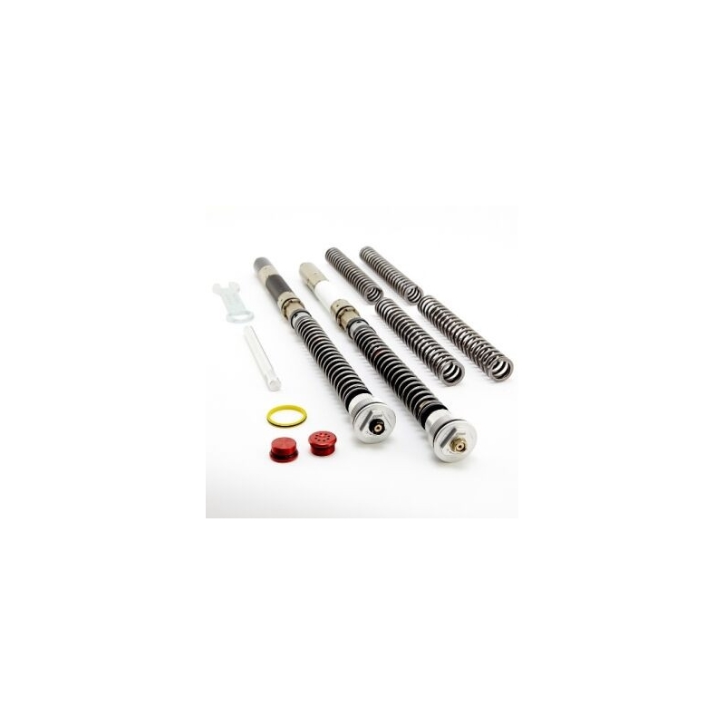Cartridge prednej vidlice K-TECH DDS