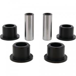 Sada zadného nezávislého odpruženia All Balls Racing RIS50-1273