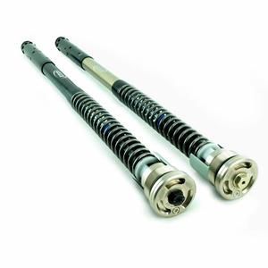 Cartridge prednej vidlice K-TECH TRDS-R 160-025-270-019