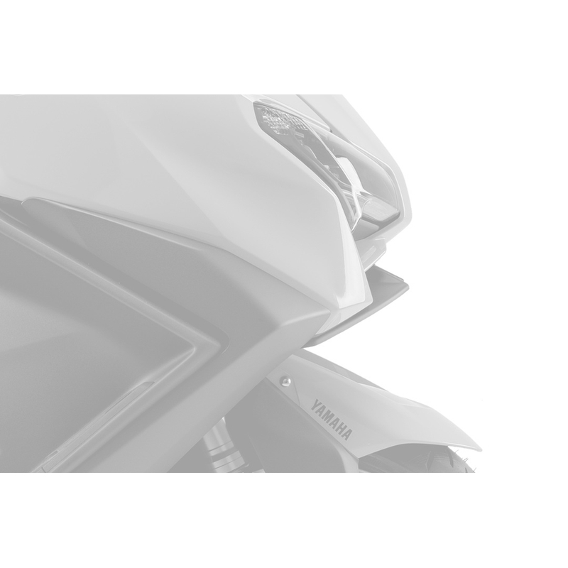 Frontal spoilers PUIG NAKED karbónový vzhľad