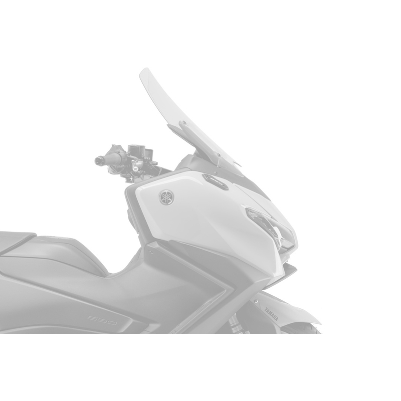 Frontal spoilers PUIG NAKED karbónový vzhľad