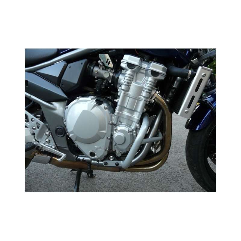 Ochrana motora RDMOTO strieborná
