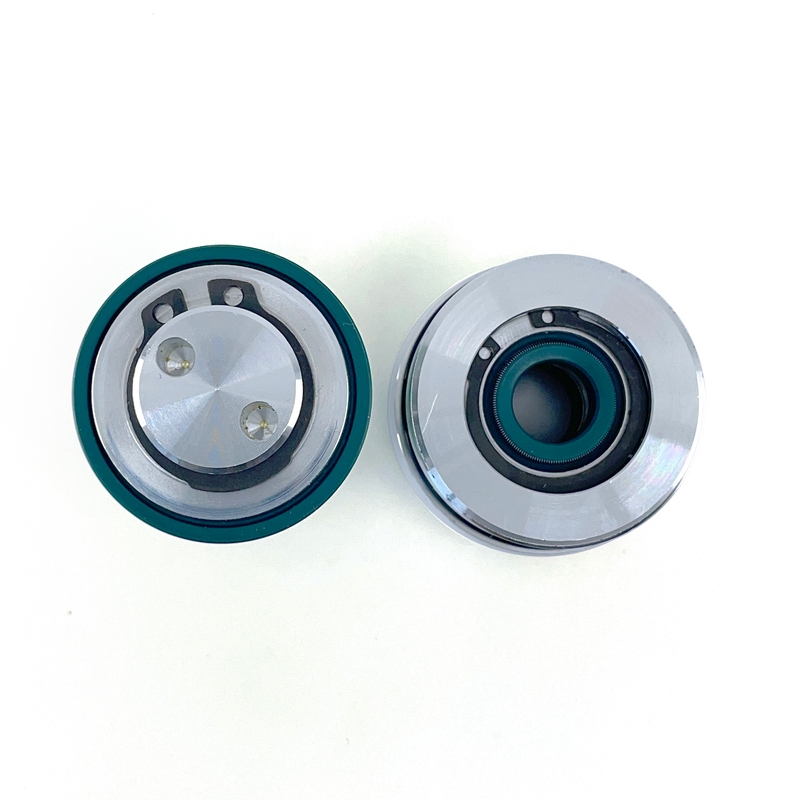 Glide kit SKF for WP AER 48mm